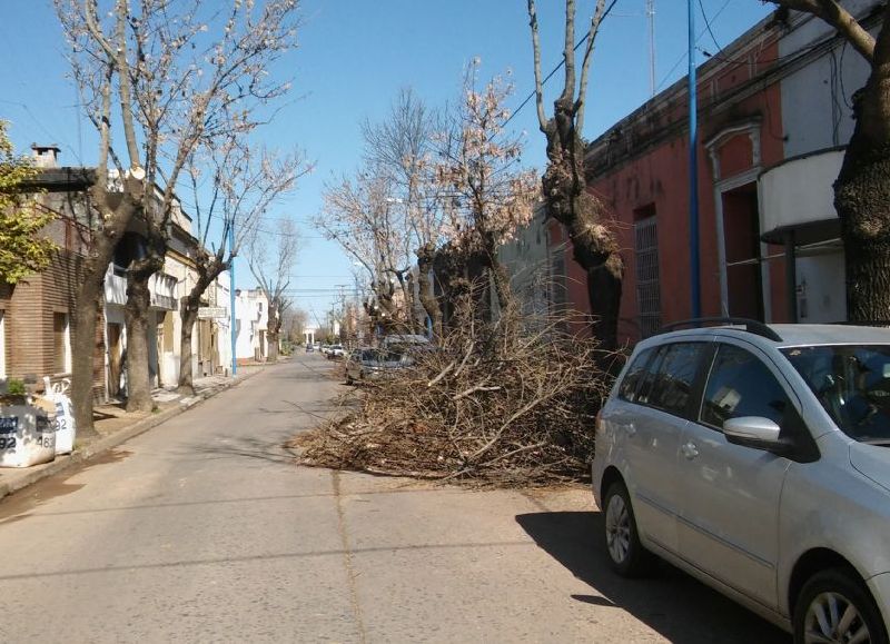 Hoy por hoy, las cuadrillas se despliegan sobre calle Alvear.