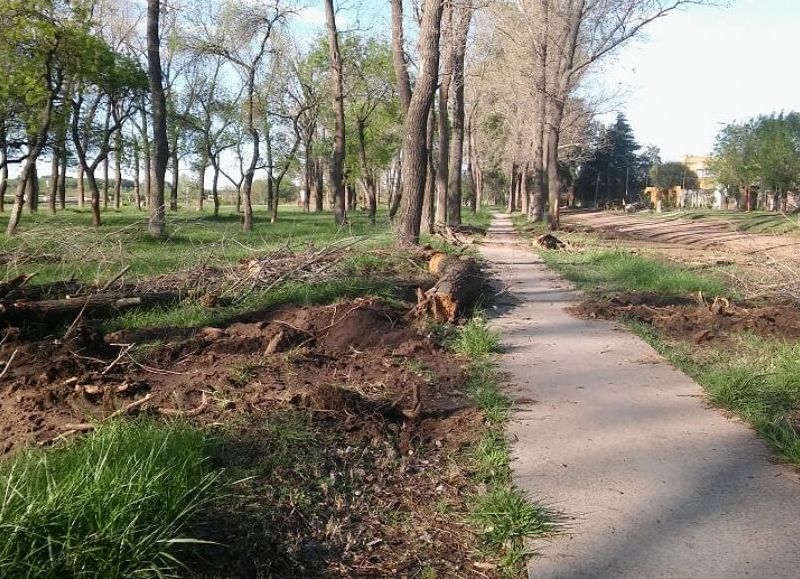 Zona Ribereña, entre la Ruta Nac. 188 y la Ruta Provincial 45