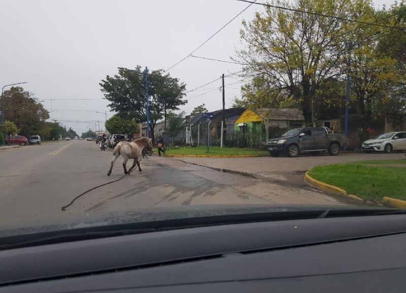 Sucedió en la Avenida Tres de Febrero, desde Bicentenario hacia la Avenida 25 de Mayo.