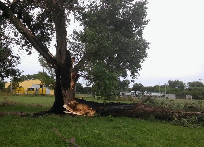 La furia del clima.