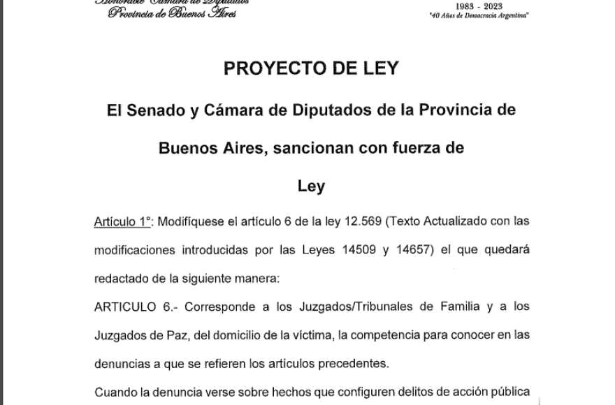 Dentro de la Cámara de Diputados, en la Comisión de Niñez, Adolescencia y Familia, avanzó la ley para proteger a las víctimas de violencia familiar. 