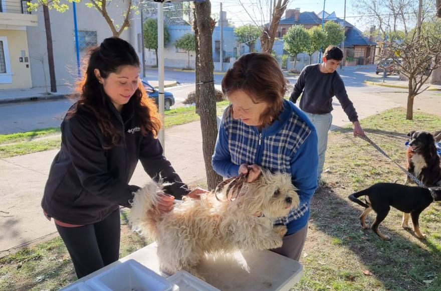 Castrar y vacunar es amar a tu mascota.