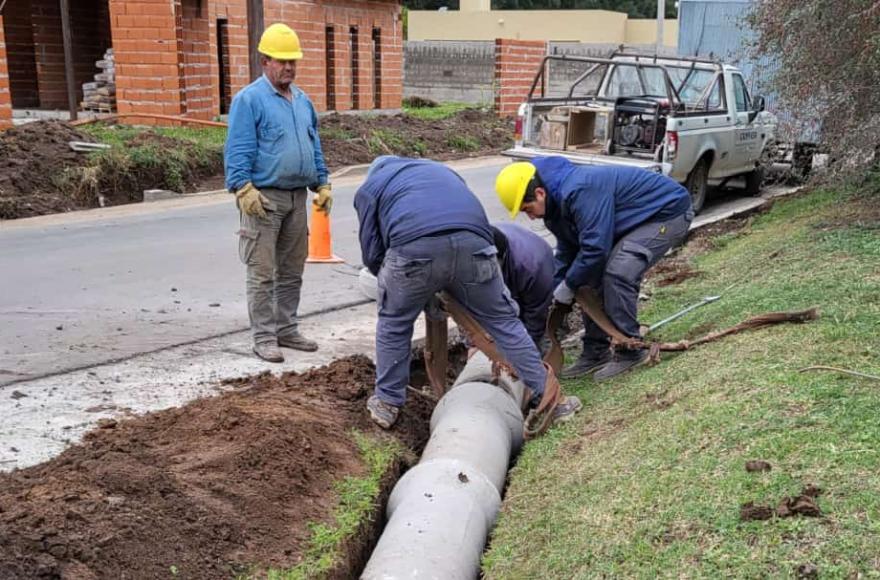 Cuadrilla en plena labor.