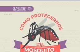 Medidas de prevención por alta circulación de mosquitos