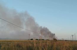 Ricky Bini preocupado por el medio ambiente