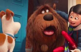 La vida secreta de tus mascotas, en el Cine Francés