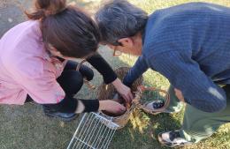 Continúa la campaña de vacunación antirrábica en Rojas y las localidades