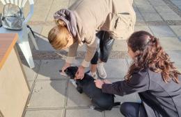 Comenzó la campaña de vacunación antirrábica en las Plazas de la ciudad