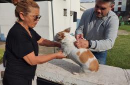 Más de 60 mascotas fueron vacunadas en una nueva jornada antirrábica