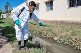 Nuevas acciones para controlar la proliferación de mosquitos