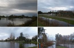 Vuelve a crecer el río Rojas: ¿De dónde viene el agua?