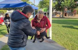 Vacunación antirrábica en la Plaza de Barrio Covendiar I
