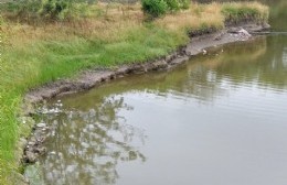 Seguimos sin tomar conciencia del cuidado de nuestro Río Rojas