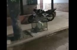 Motociclista choca a niño en bicicleta