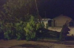 La tormenta del viernes causó importantes destrozos en Pergamino