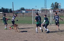 Continúa la Liga de Fútbol 5 para personas con discapacidad intelectual