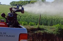 Operativos de fumigación en Rojas y las localidades